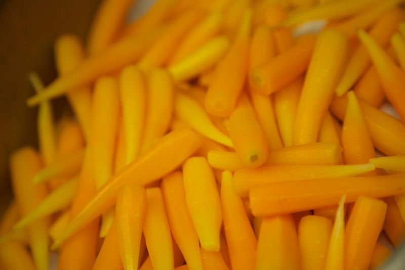 resources of Baby Corn exporters