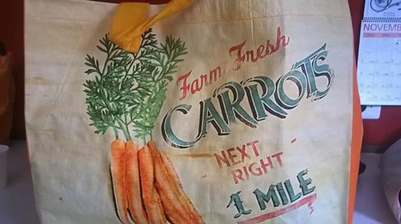 resources of Carrot exporters