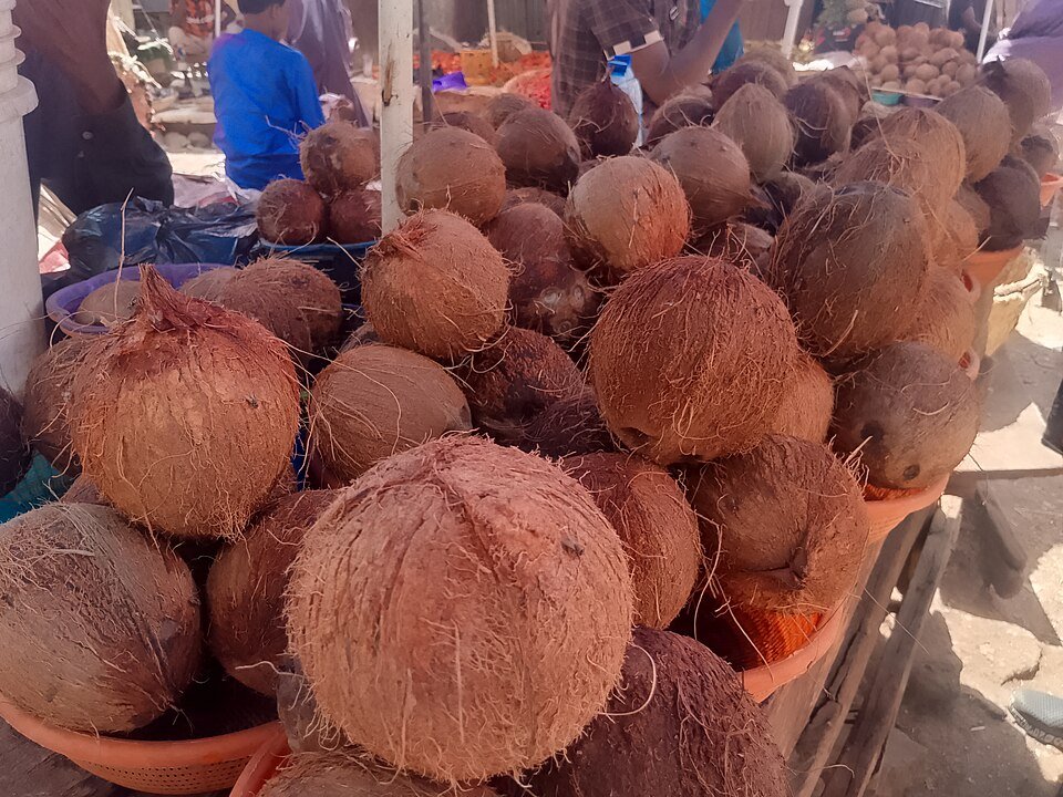 Fresh Coconut Exporters, Wholesaler & Manufacturer | Globaltradeplaza.com