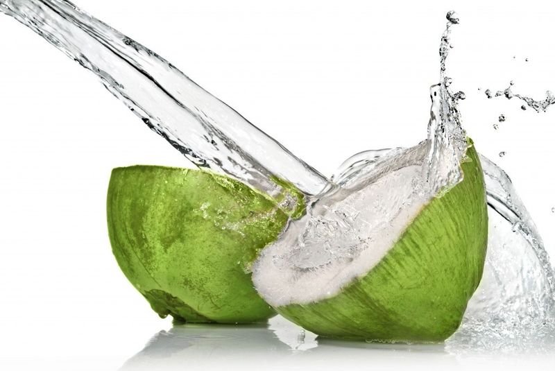 resources of Fresh Coconut Slices 400gm exporters