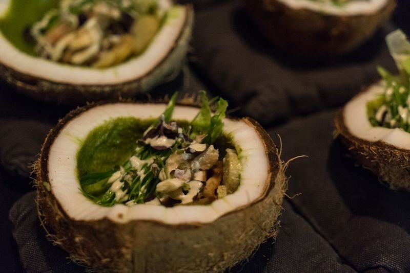 resources of Green Shell Diamond Coconut exporters