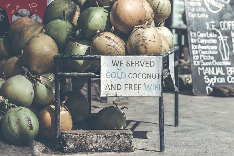 resources of Vietnamese Whole Green Fresh Coconut exporters