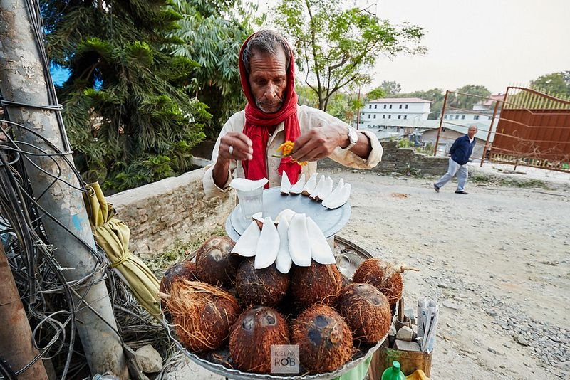 resources of Fresh Coconut exporters resources of Fresh Coconut exporters