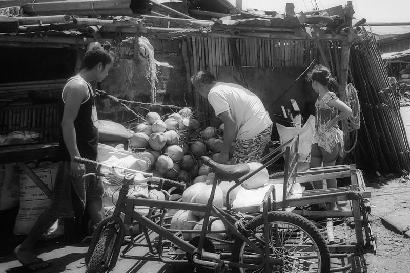 resources of Fresh Coconut Water exporters