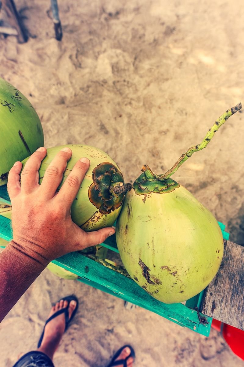 resources of Fresh King Coconut exporters