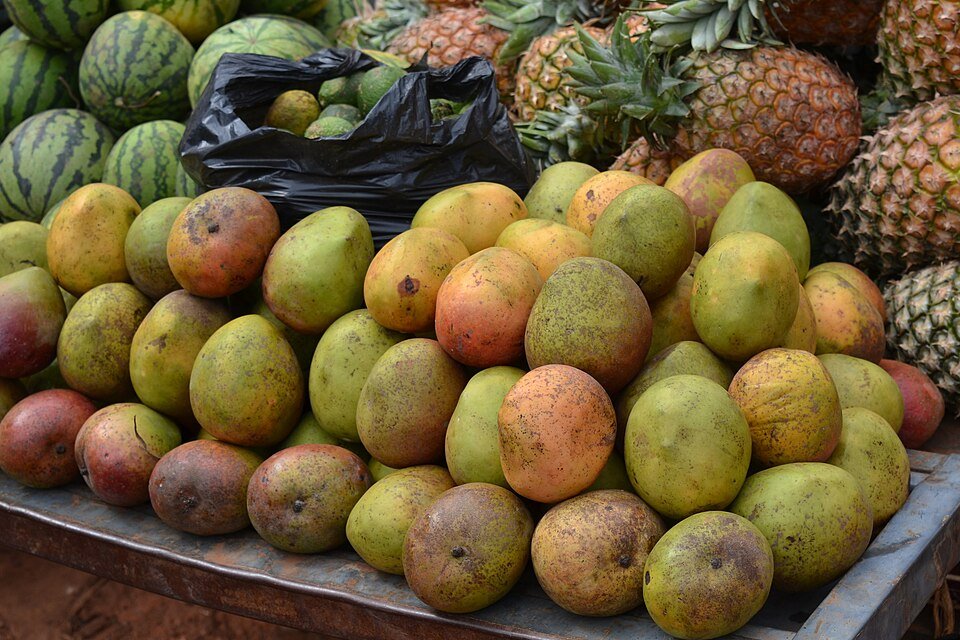 Fresh Fruits Exporters, Wholesaler & Manufacturer | Globaltradeplaza.com