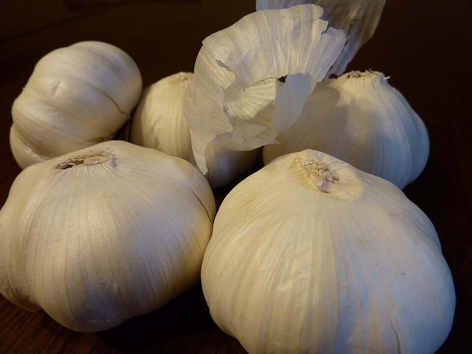 Fresh Garlic Exporters, Wholesaler & Manufacturer | Globaltradeplaza.com