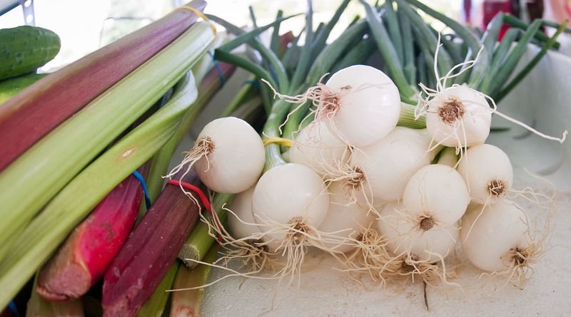 resources of Fresh garlic exporters