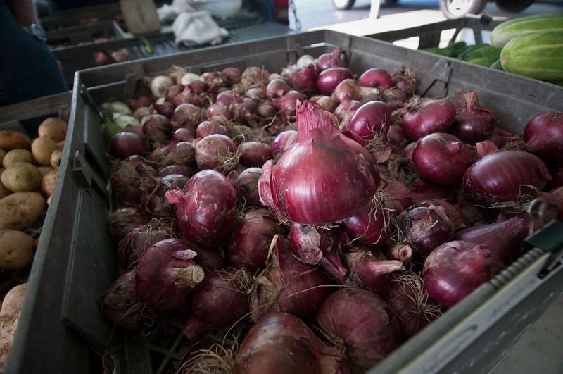 resources of Fresh Onion exporters