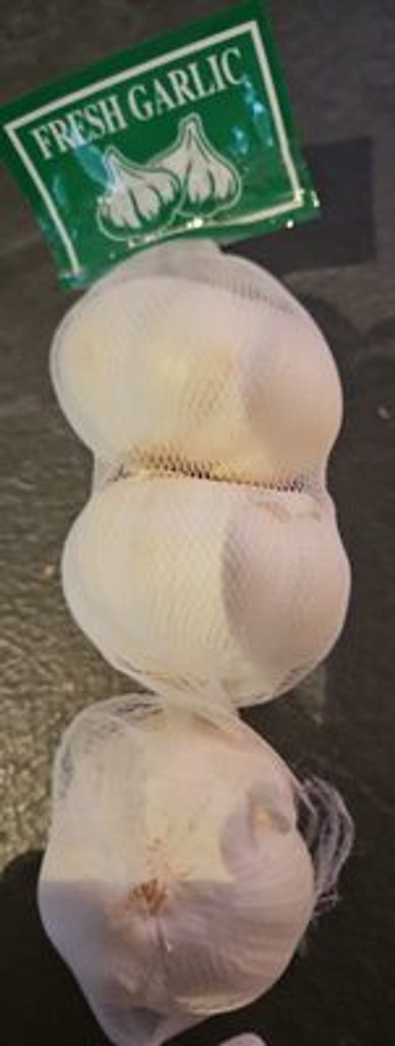 resources of Garlic exporters