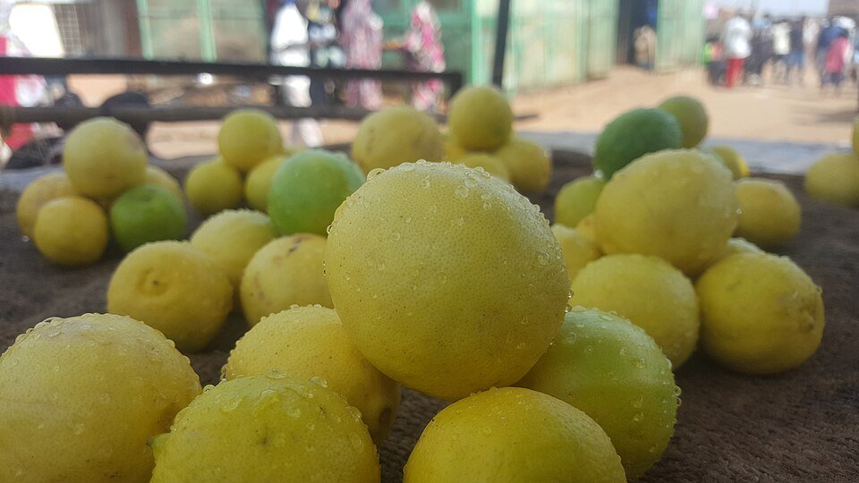 Fresh Lemon Exporters, Wholesaler & Manufacturer | Globaltradeplaza.com