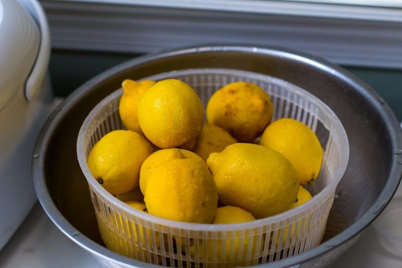 resources of Lemons exporters