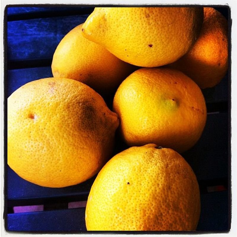 resources of Fresh Citrus exporters resources of Fresh Citrus exporters
