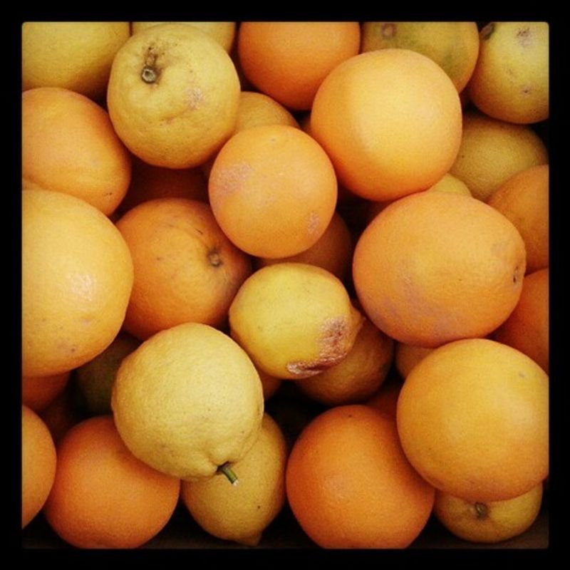 resources of Fresh Lemons exporters