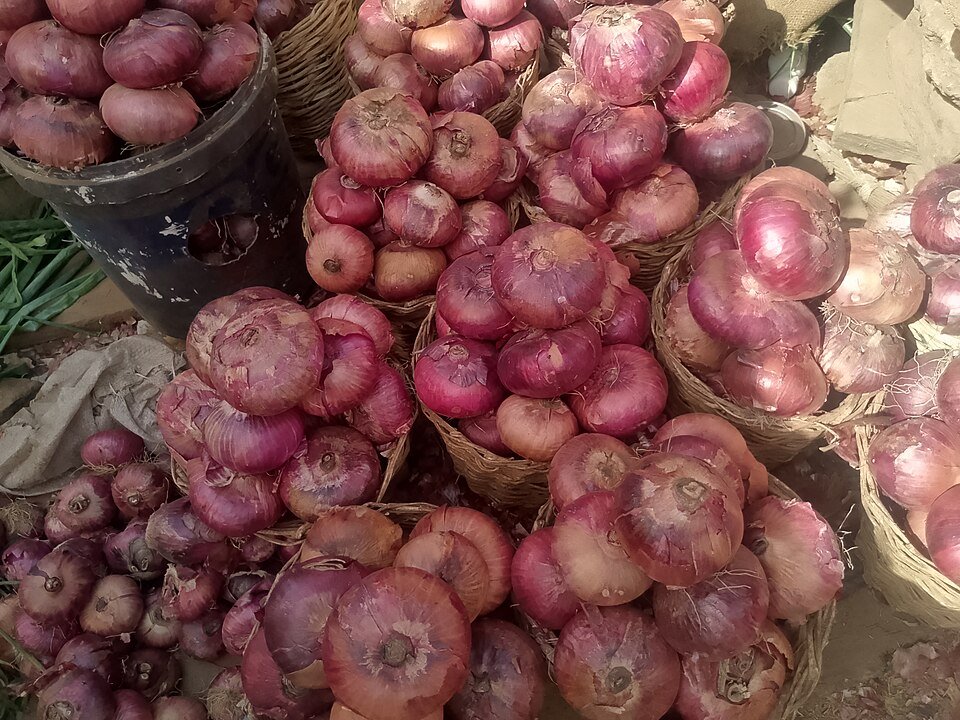 Fresh Onion Exporters, Wholesaler & Manufacturer | Globaltradeplaza.com