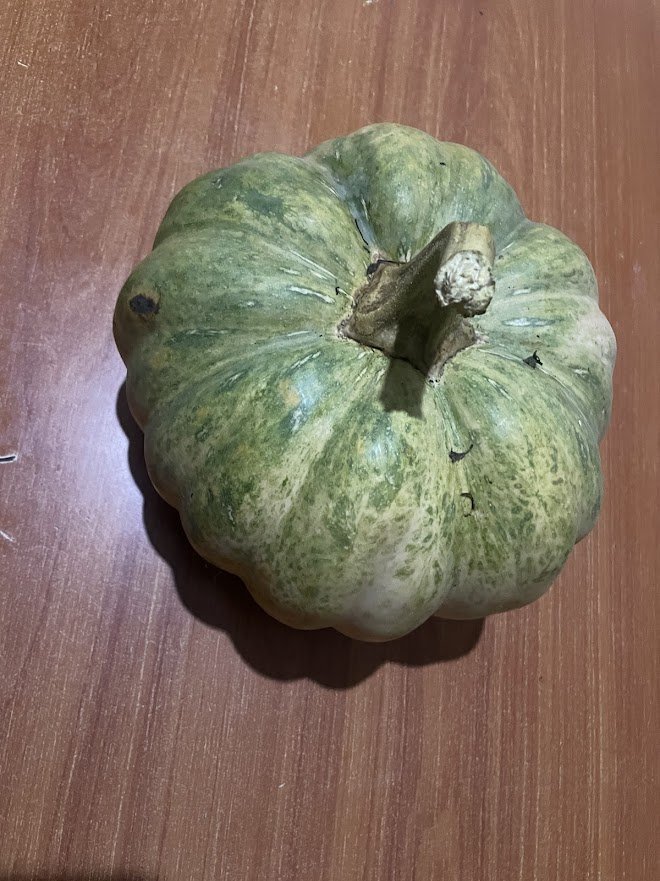 Fresh Pumpkin Exporters, Wholesaler & Manufacturer | Globaltradeplaza.com