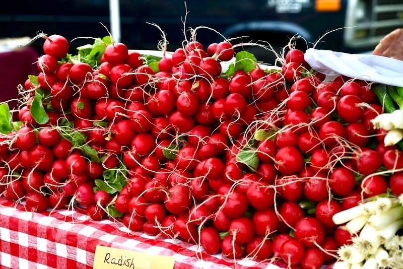 resources of Fresh Cherries Greek Cherries exporters resources of Fresh Cherries Greek Cherries exporters