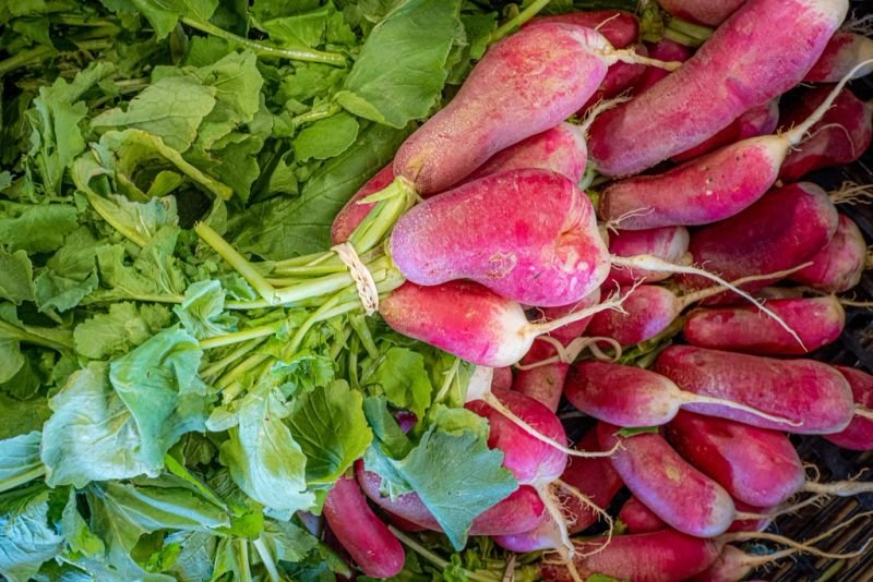resources of Ginger - Fresh And Dried exporters