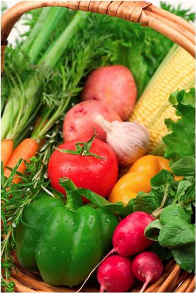 resources of Fresh Vegetables exporters