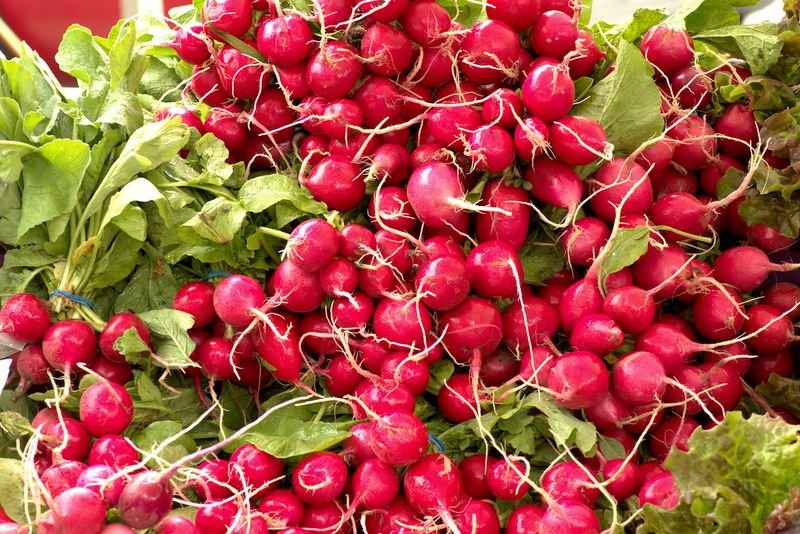 resources of Cranberry Evolve 300 exporters resources of Cranberry Evolve 300 exporters