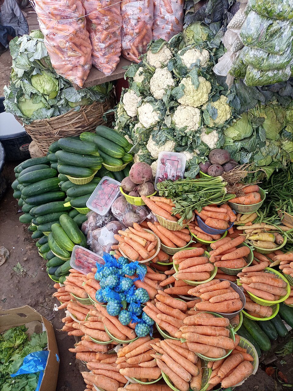 Fresh Vegetables Exporters, Wholesaler & Manufacturer | Globaltradeplaza.com