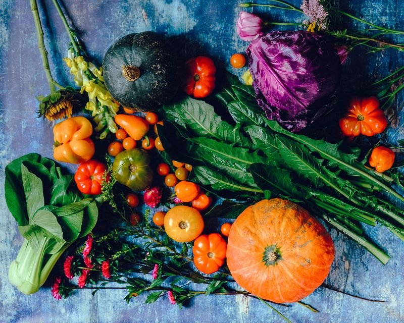 resources of Buy Organic Squash Butternut exporters