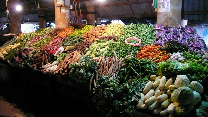resources of Fresh Vegetables exporters resources of Fresh Vegetables exporters
