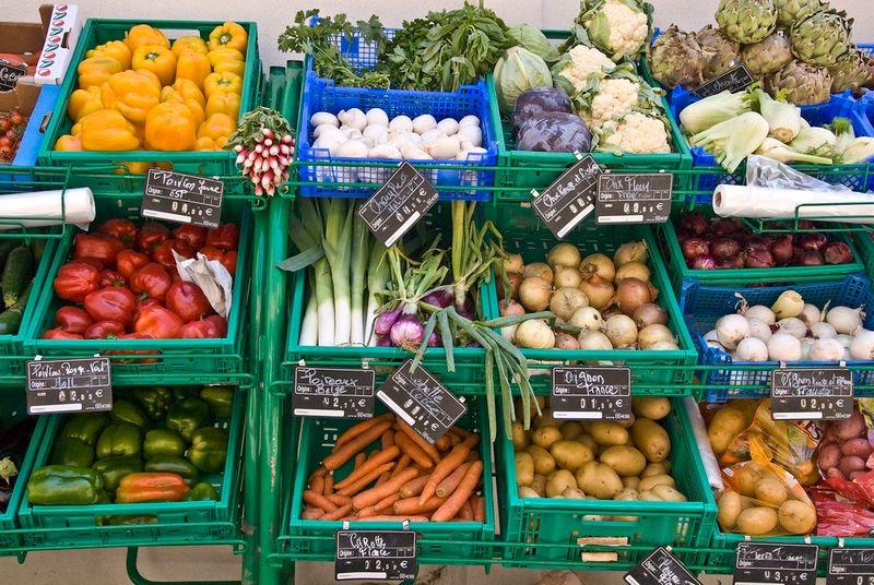 resources of Artichoke exporters