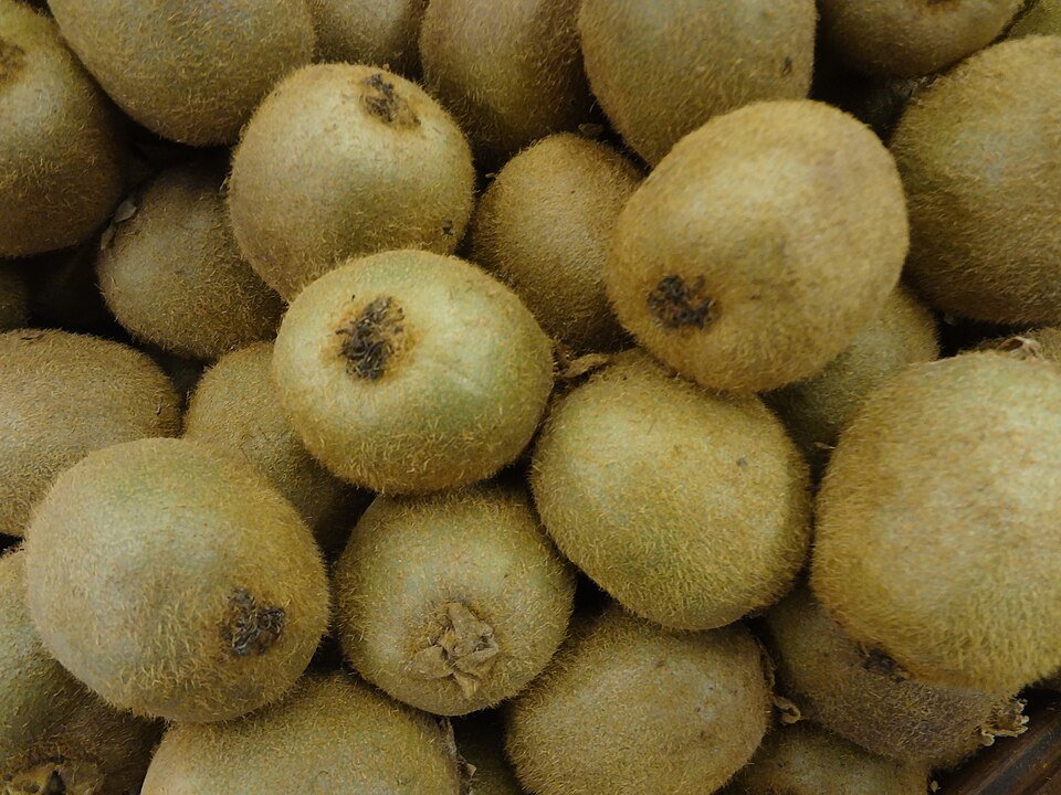 resources of Dried Kiwi Fruit For Sale exporters