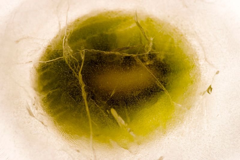 resources of Olive in Brine exporters resources of Olive in Brine exporters