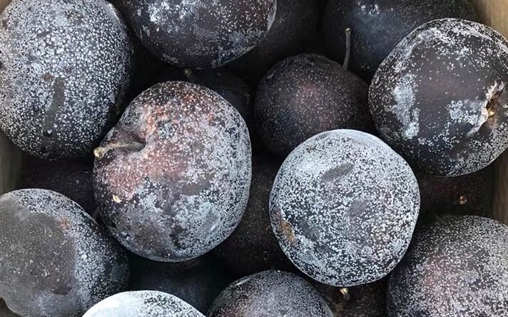 resources of Chrome casting steel ball exporters resources of Chrome casting steel ball exporters