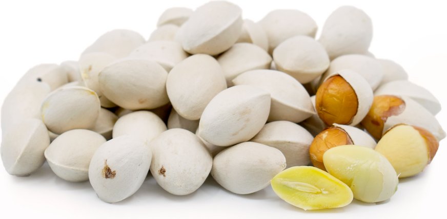 resources of Fresh, Dired, Salted And Roasted Pistachio Nuts exporters resources of Fresh, Dired, Salted And Roasted Pistachio Nuts exporters