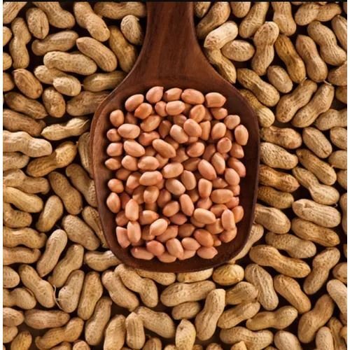 resources of Groundnut exporters