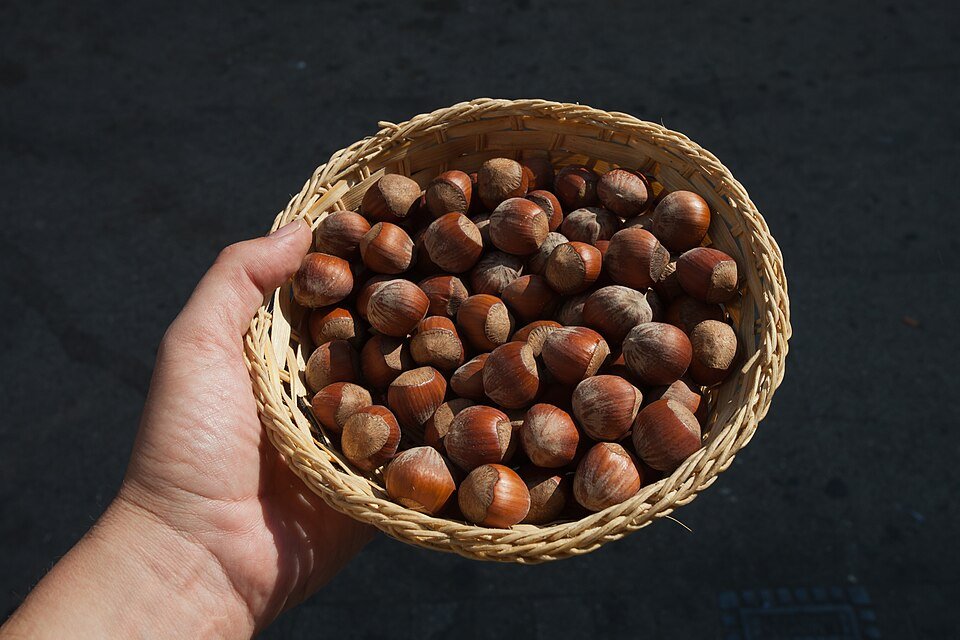 Hazelnuts Exporters, Wholesaler & Manufacturer | Globaltradeplaza.com