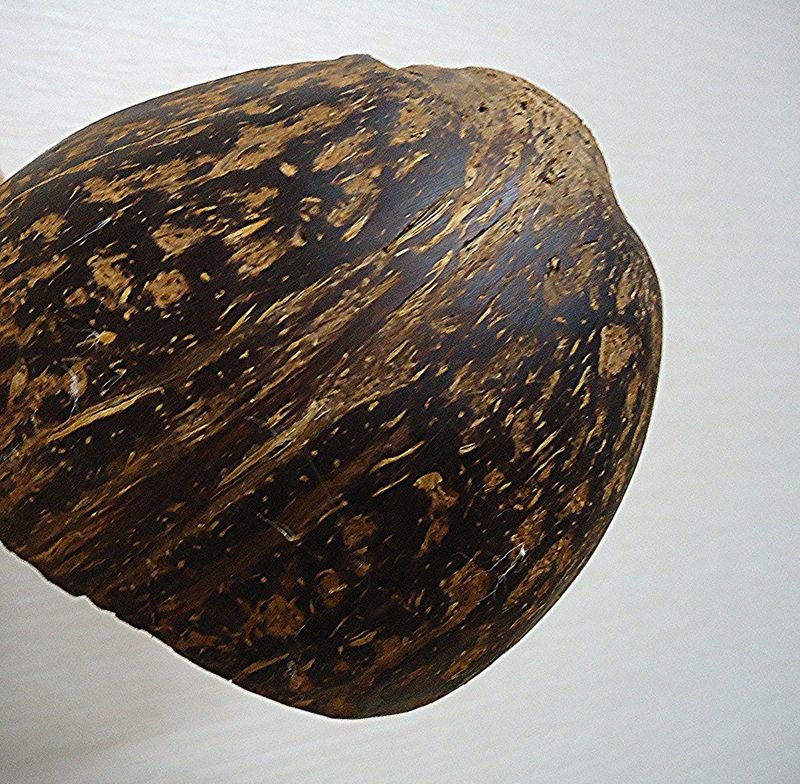 resources of Operculum Shell exporters