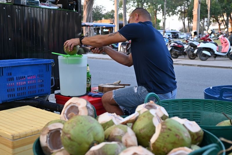 resources of Fresh Mature Semi Husked Coconut exporters