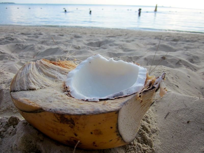 resources of Vietnam Coconut Shell Bowl exporters