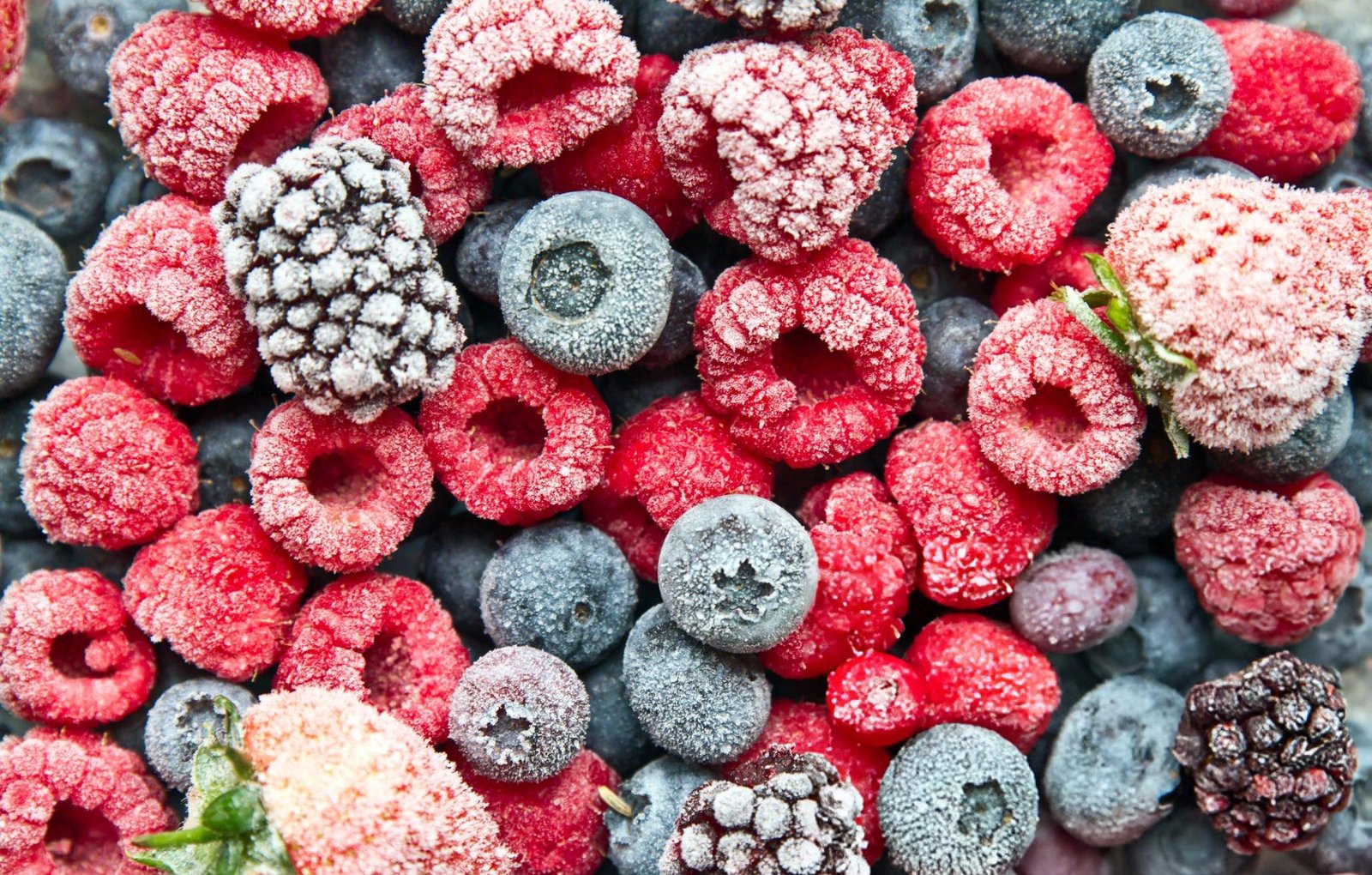 resources of Frozen Mixed Berries exporters