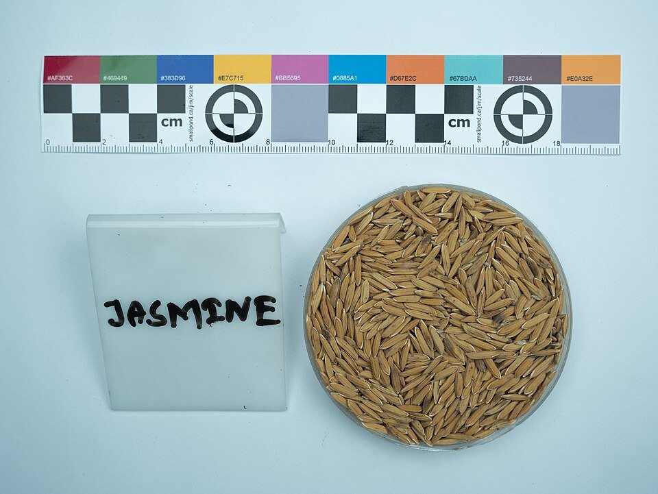 Jasmine Rice Exporters, Wholesaler & Manufacturer | Globaltradeplaza.com