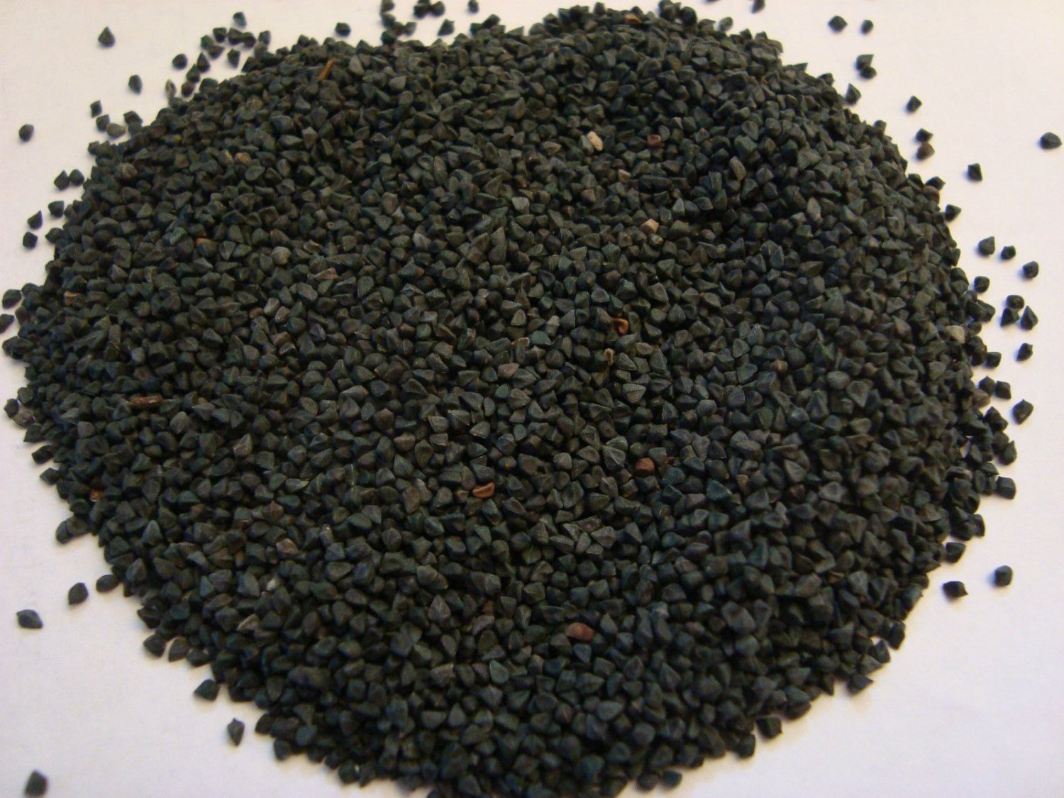 resources of Basil Seeds exporters