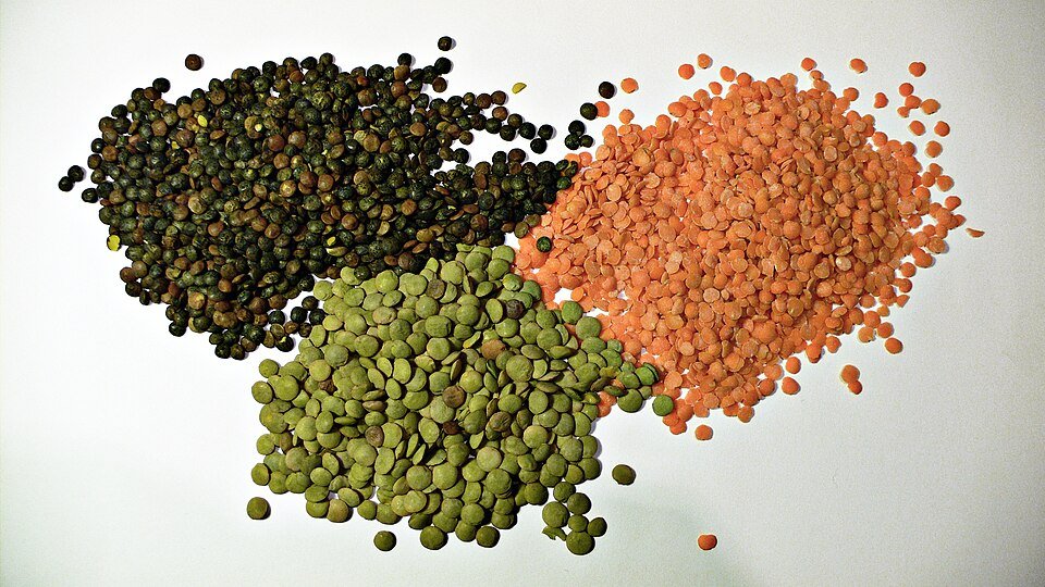 Lentils Exporters, Wholesaler & Manufacturer | Globaltradeplaza.com