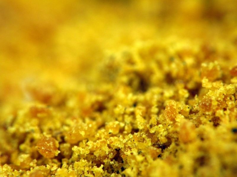 resources of Sargassum exporters
