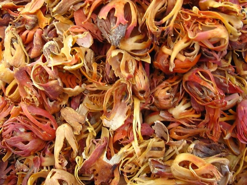 resources of Dried Orange Marigold Petals exporters