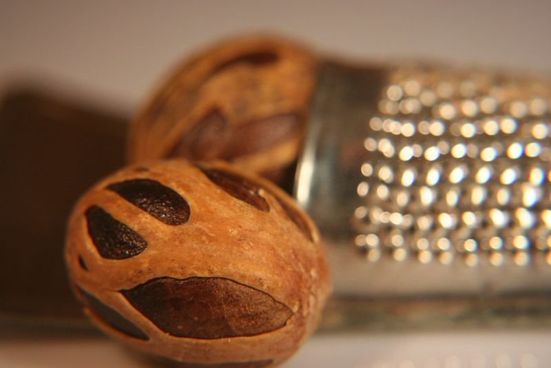 resources of Nutmeg Oil exporters
