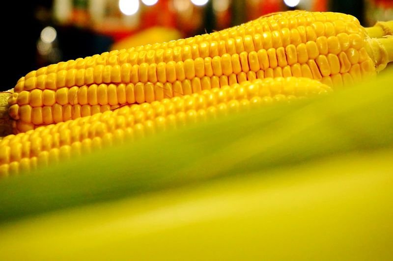 resources of Modified Resistant Maize Starch for Jam , Cakes exporters