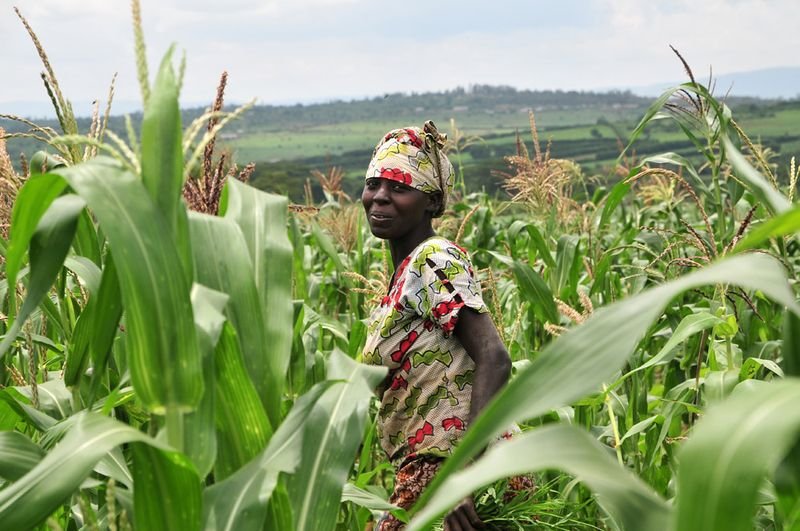 resources of Corn / Maize exporters resources of Corn / Maize exporters