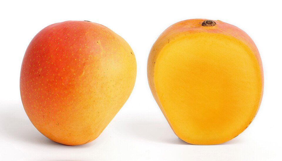 Mango Exporters, Wholesaler & Manufacturer | Globaltradeplaza.com