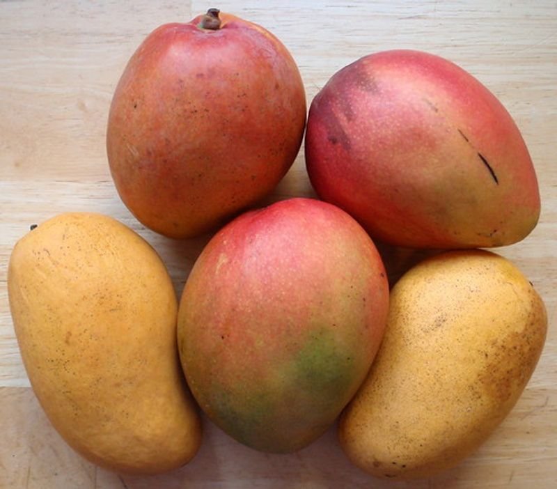 resources of Organic Mango Butter exporters
