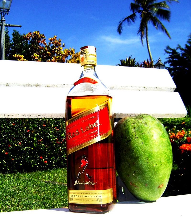 resources of Mango Powder exporters