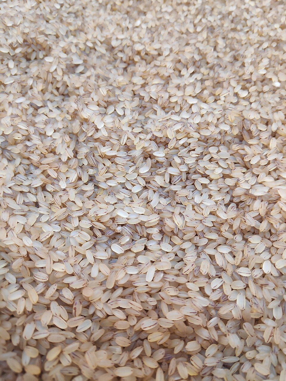 resources of Matta Rice exporters